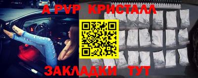 jwh Кингисепп