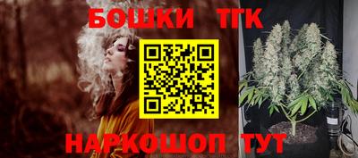 jwh Кингисепп