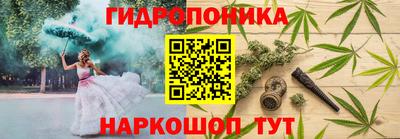 стафф Кинель